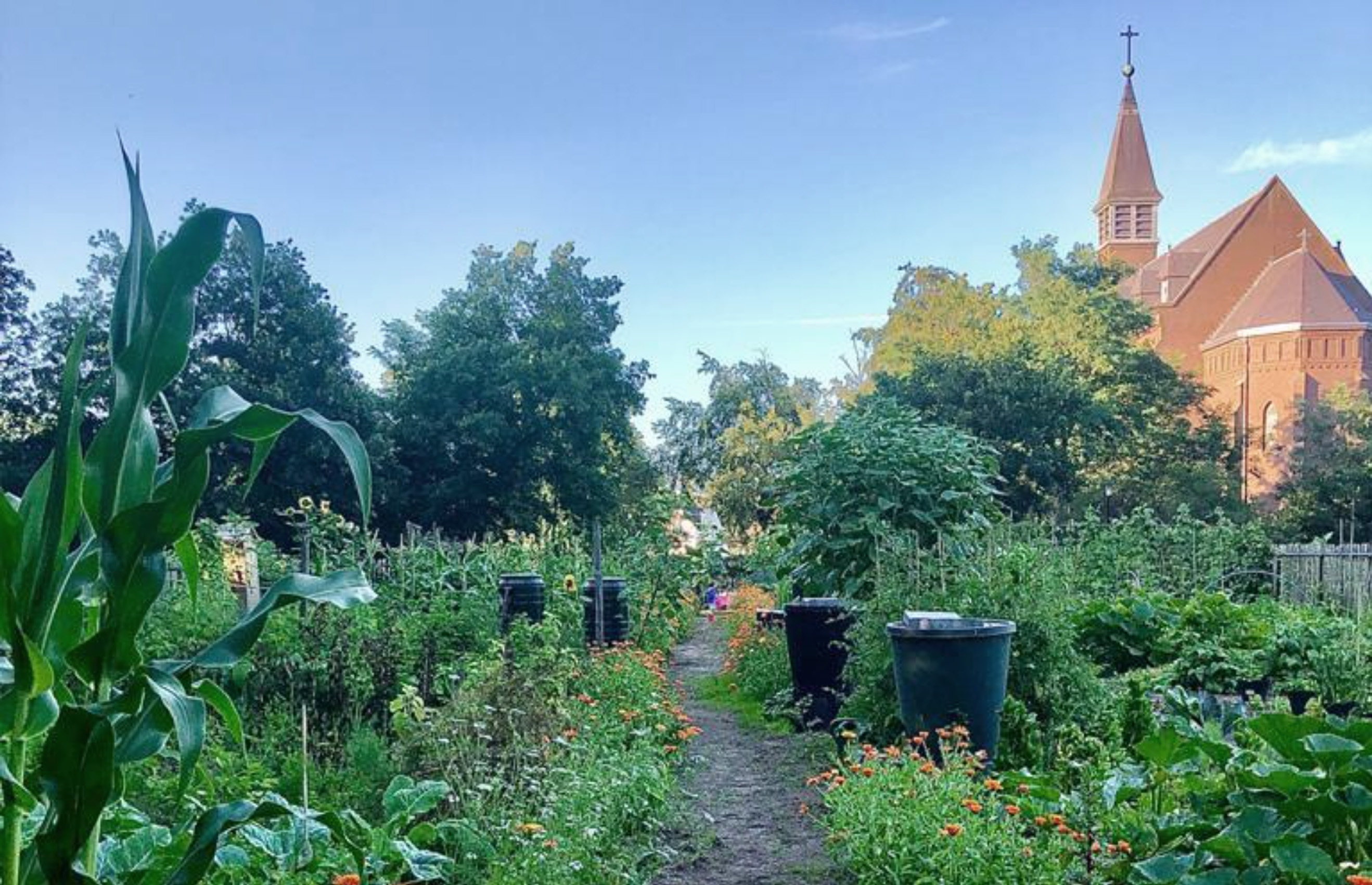 Garden view